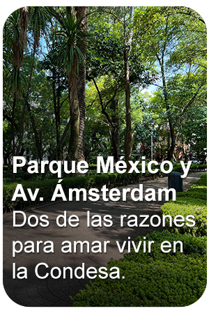 Razón 01