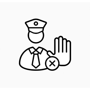 Icon Seguridad