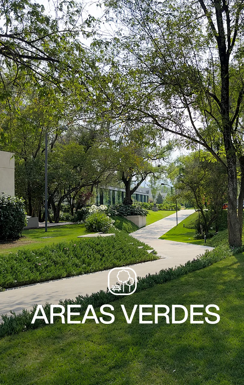 Áreas Verdes